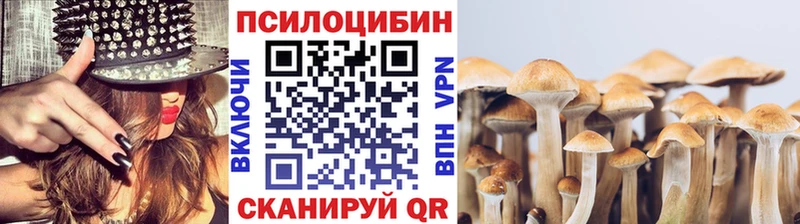 Псилоцибиновые грибы Psilocybe  Ельня 